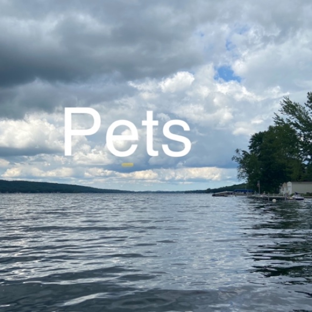 Pet Items